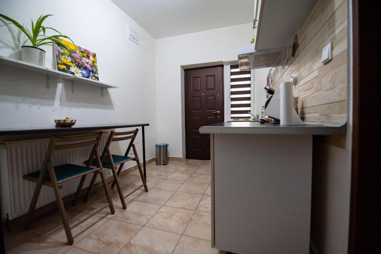 1 Freidorf Apartment Timişoara Extérieur photo